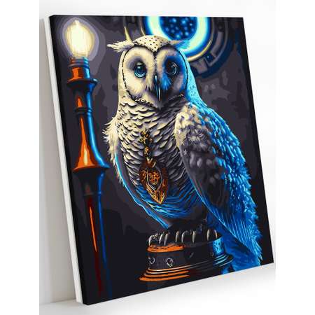 Картина по номерам Art on Canvas Букля в ассортименте
