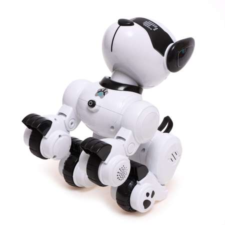 Собака РУ IQ BOT Тобби