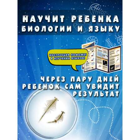 Набор для опытов KOSMOS Experiments