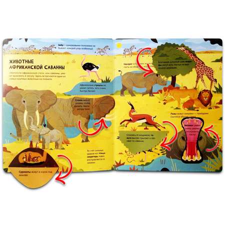 Книга Clever Издательство Энциклопедия с окошками. Животные