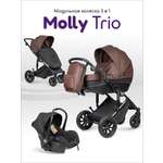 Коляска 3в1 Farfello Molly Trio коричневый