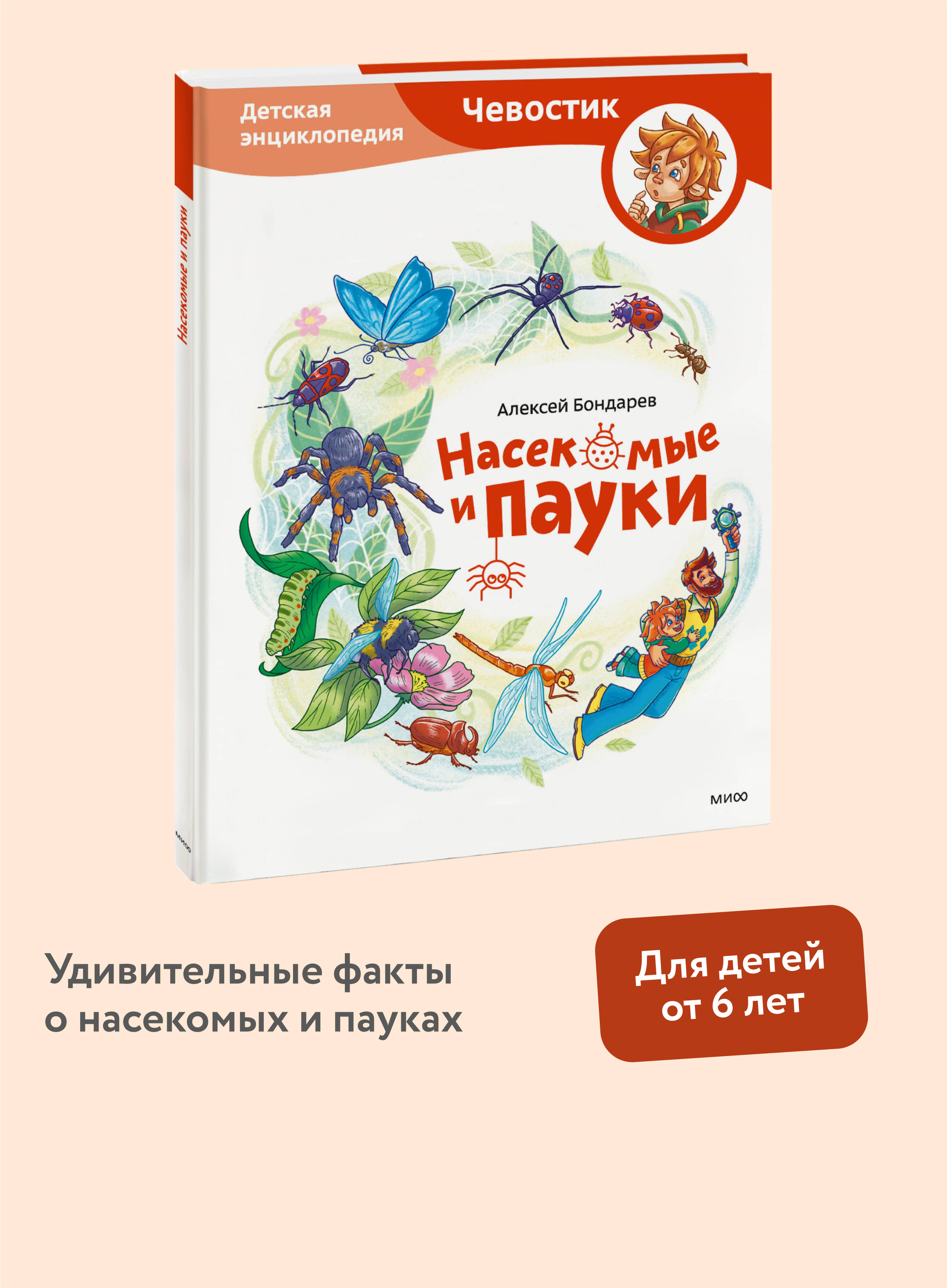 Книга МИФ Насекомые и пауки. Детская энциклопедия (Чевостик) - фото 1