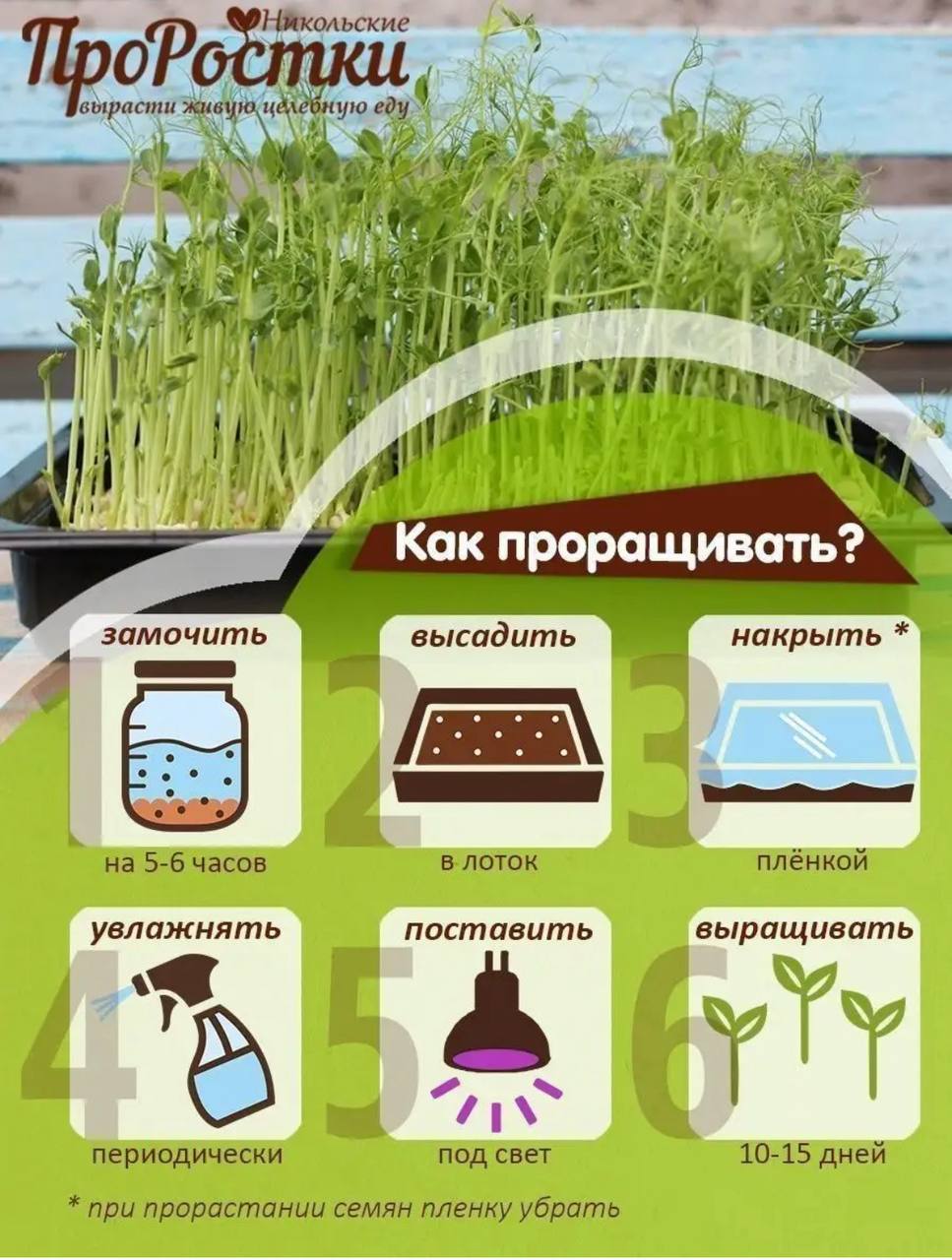 Семена для микрозелени Никольские ПроРостки горох кресс-афилла - фото 7