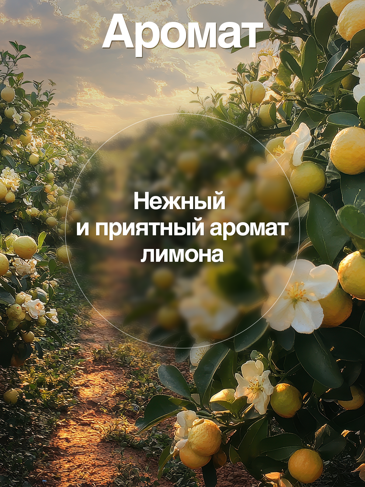 Жидкость для стирки Золушка Мыло хозяйственное 0.75 л 1 шт. - фото 7