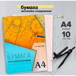 Масштабно-координатная бумага Calligrata