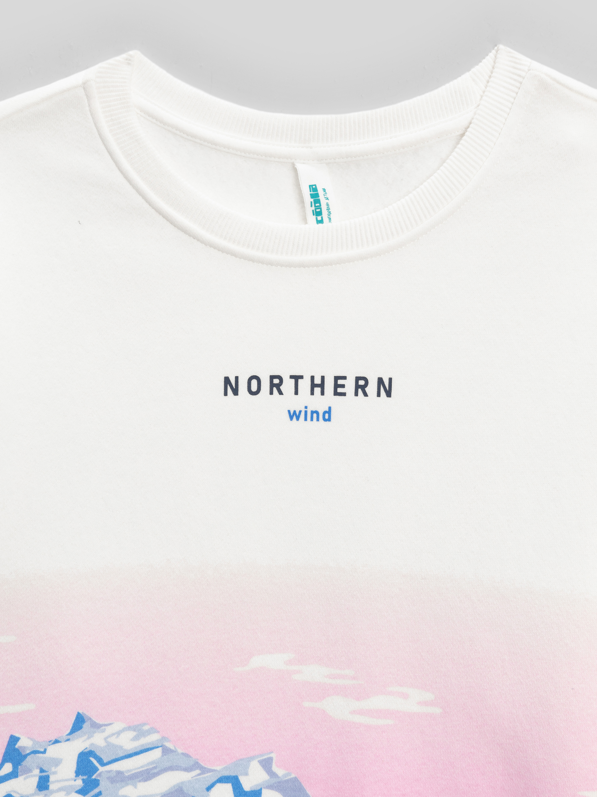 Свитшот Acoola 20240170019_0093250 - фото 3