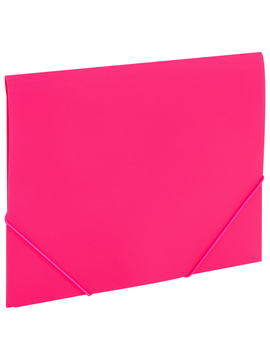 Папка для тетрадей Brauberg на резинках А4 - фото 2