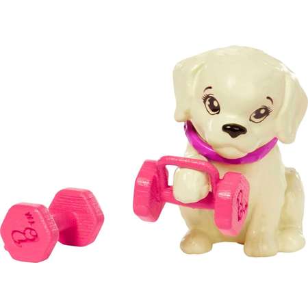 Кукла модельная Barbie Спортсменка с щенком