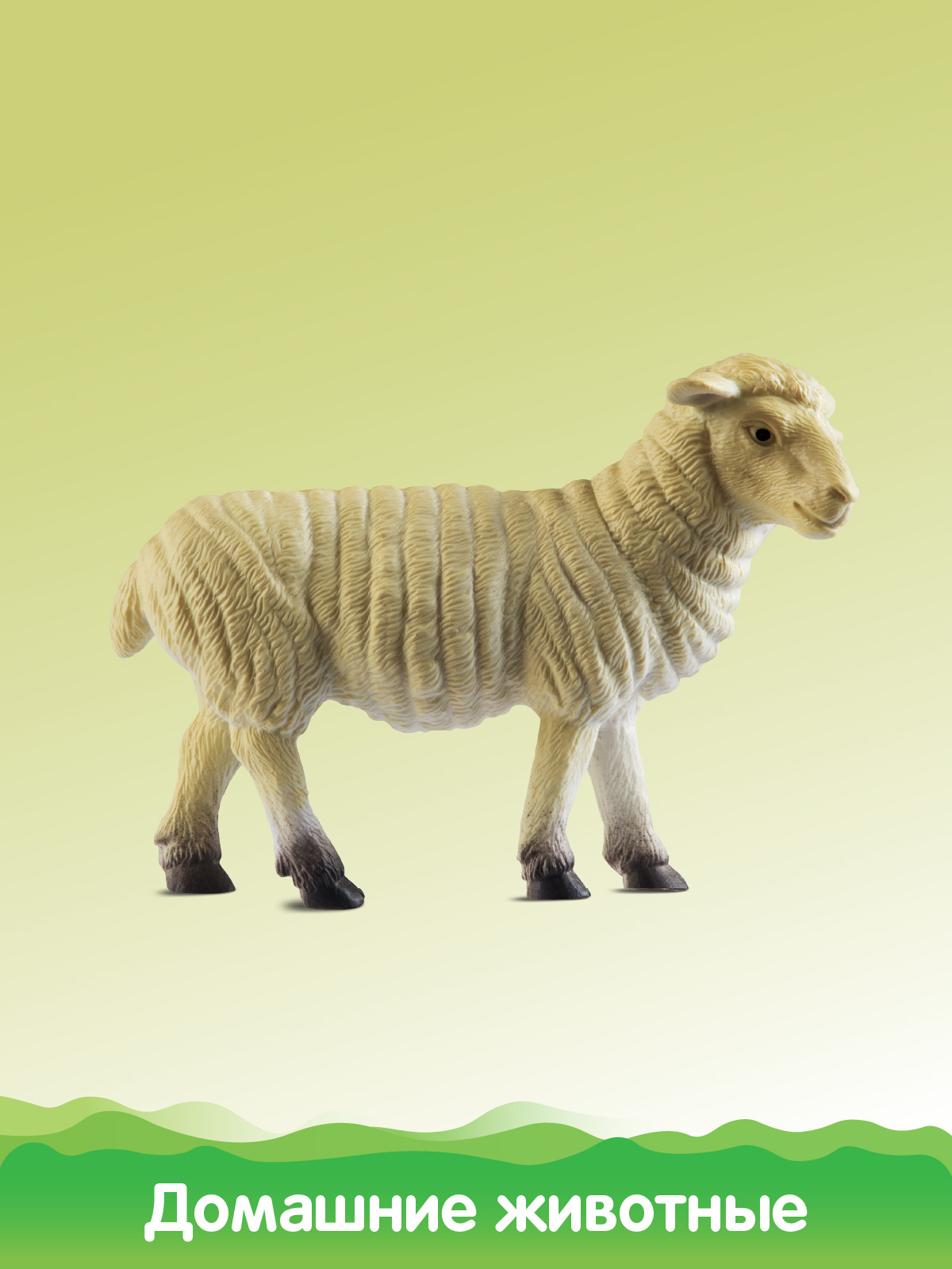 Игровой набор DARWIN Домашние животные 6шт - фото 11