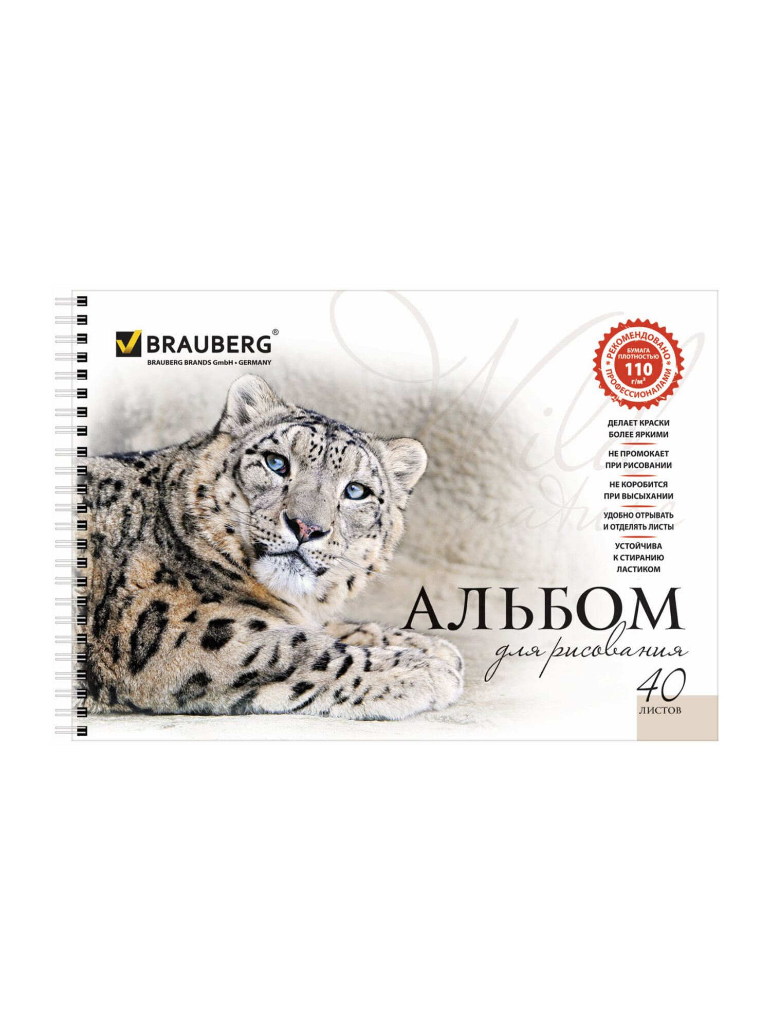 Альбом Brauberg А4 2 шт. - фото 8