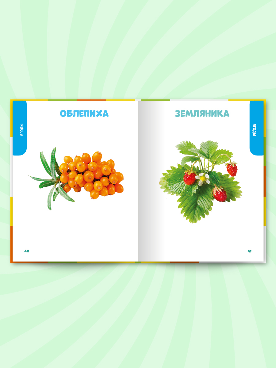 Книга Проф-Пресс Главная книга малыша. Овощи фрукты и многое другое - фото 6