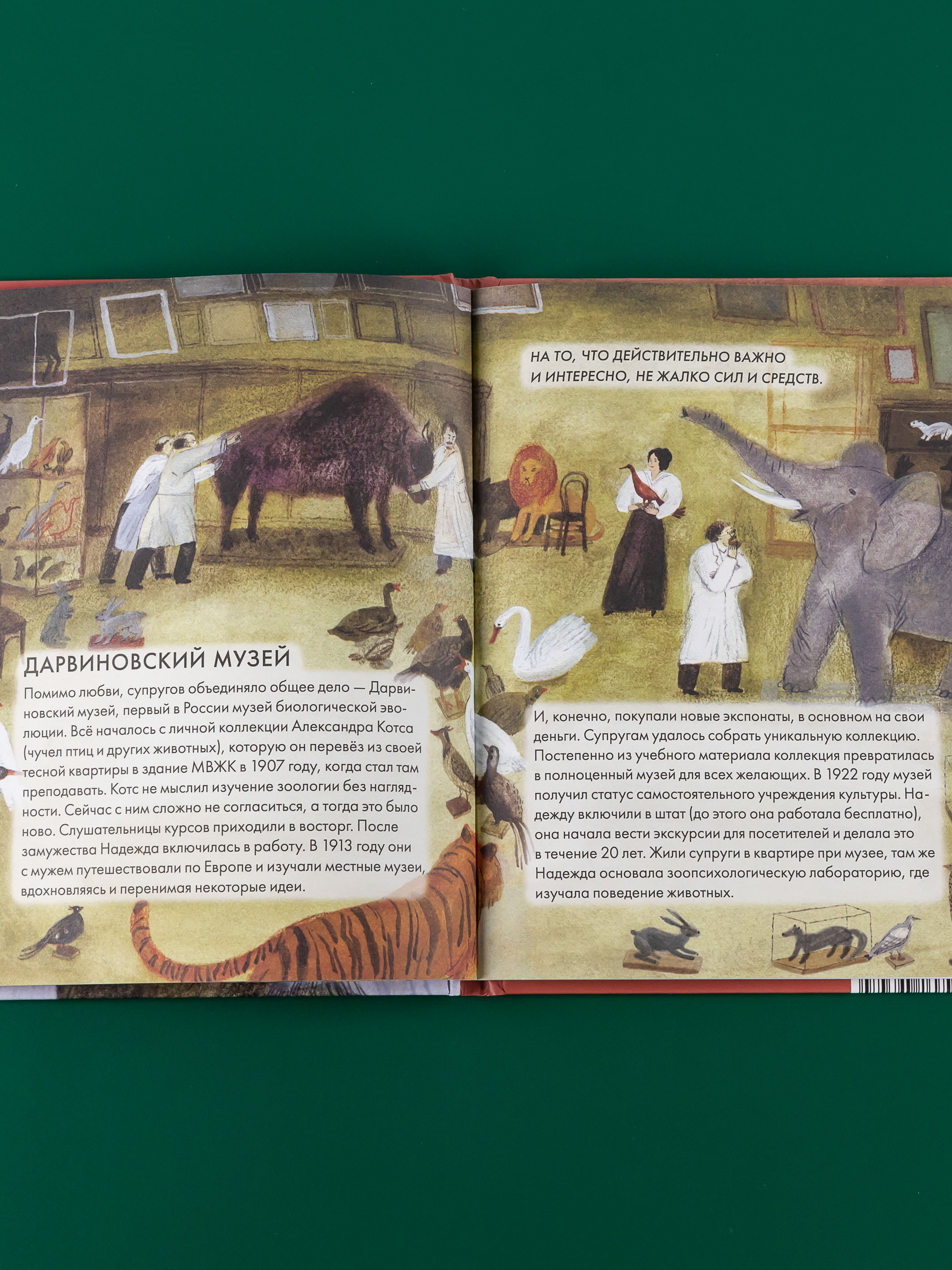 Книга Альпина Паблишер Чему я могу научиться у Надежды Ладыгиной-Котс - фото 5