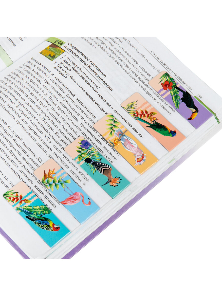 Магнитная закладка Brauberg 12 шт. - фото 13