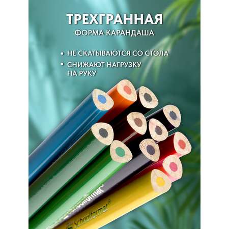 Карандаши цветные SCHOOLFORMAT 24 шт.