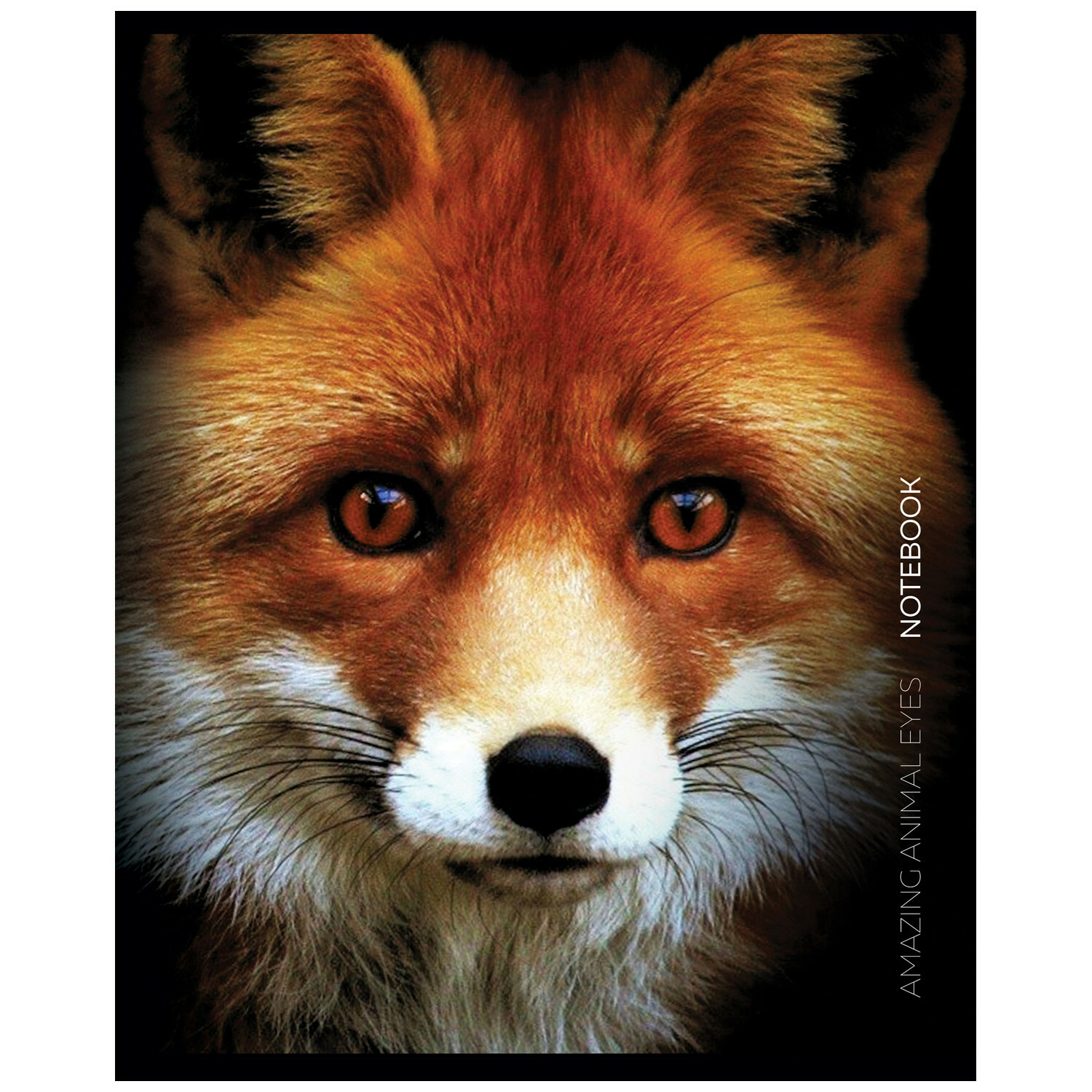 Общая тетрадь Полиграф Принт линейка 80 лист. в ассортименте - фото 5