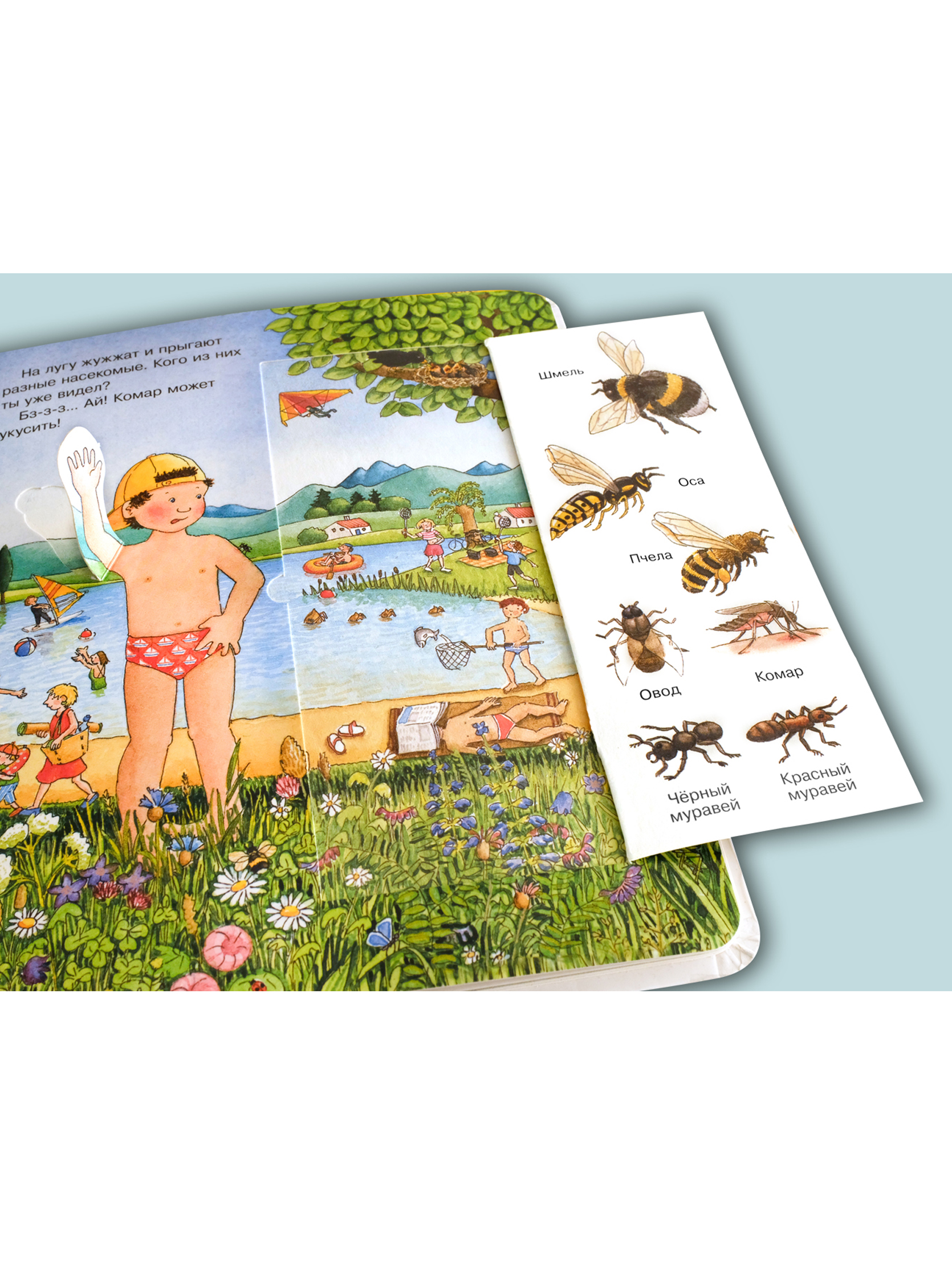 Книга Омега-Пресс Энциклопедия для малышей с окошками Времена года - фото 19