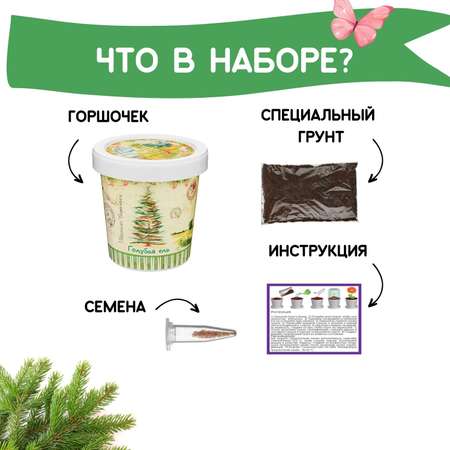 Набор для выращивания Rostok Visa