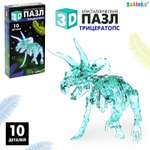 Пазл Sima-Land 3D