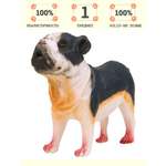 Игровой набор Masai Mara Собака