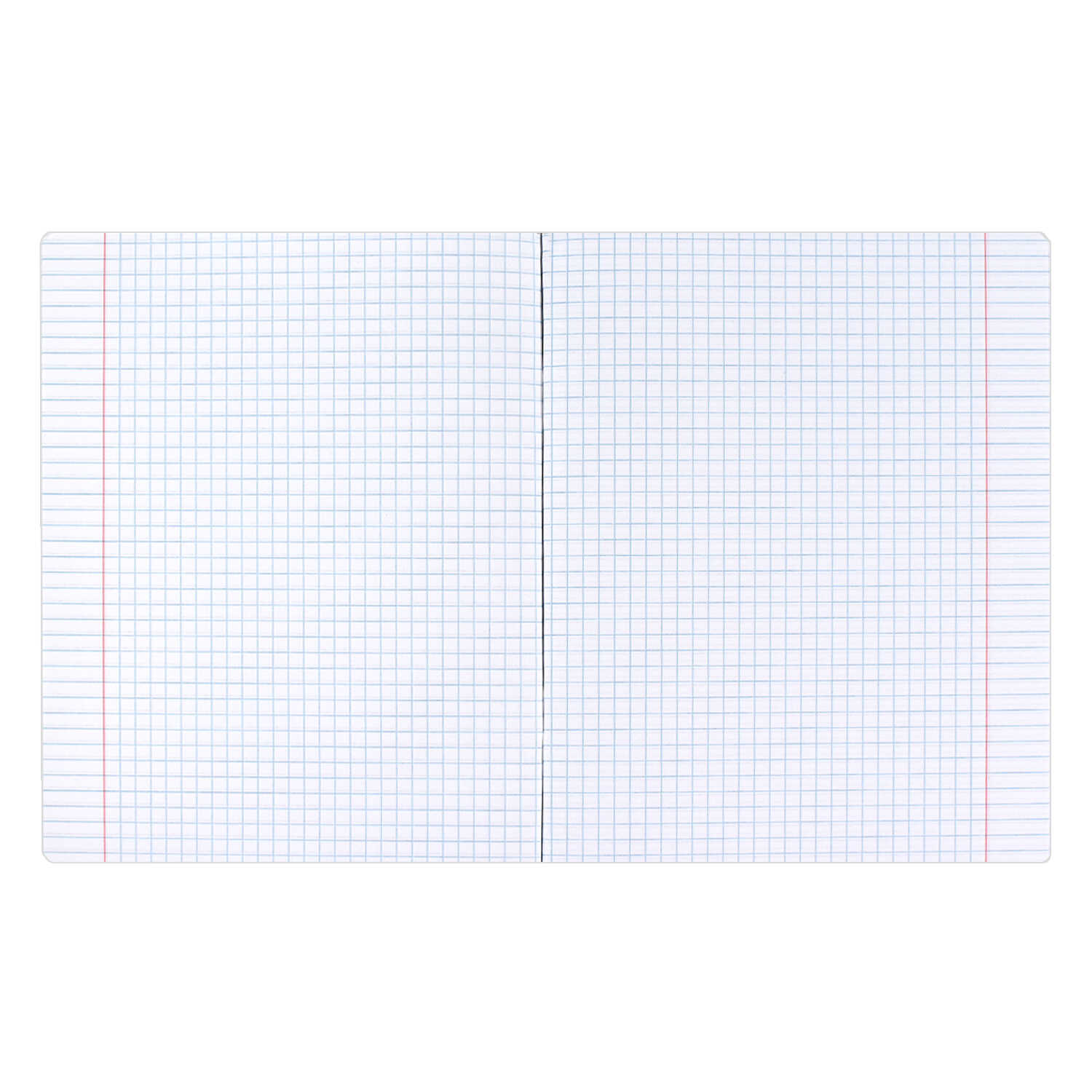 Тетрадь Феникс + 48 лист. 15 шт. (Литература, Русский язык, Обществознание) - фото 13