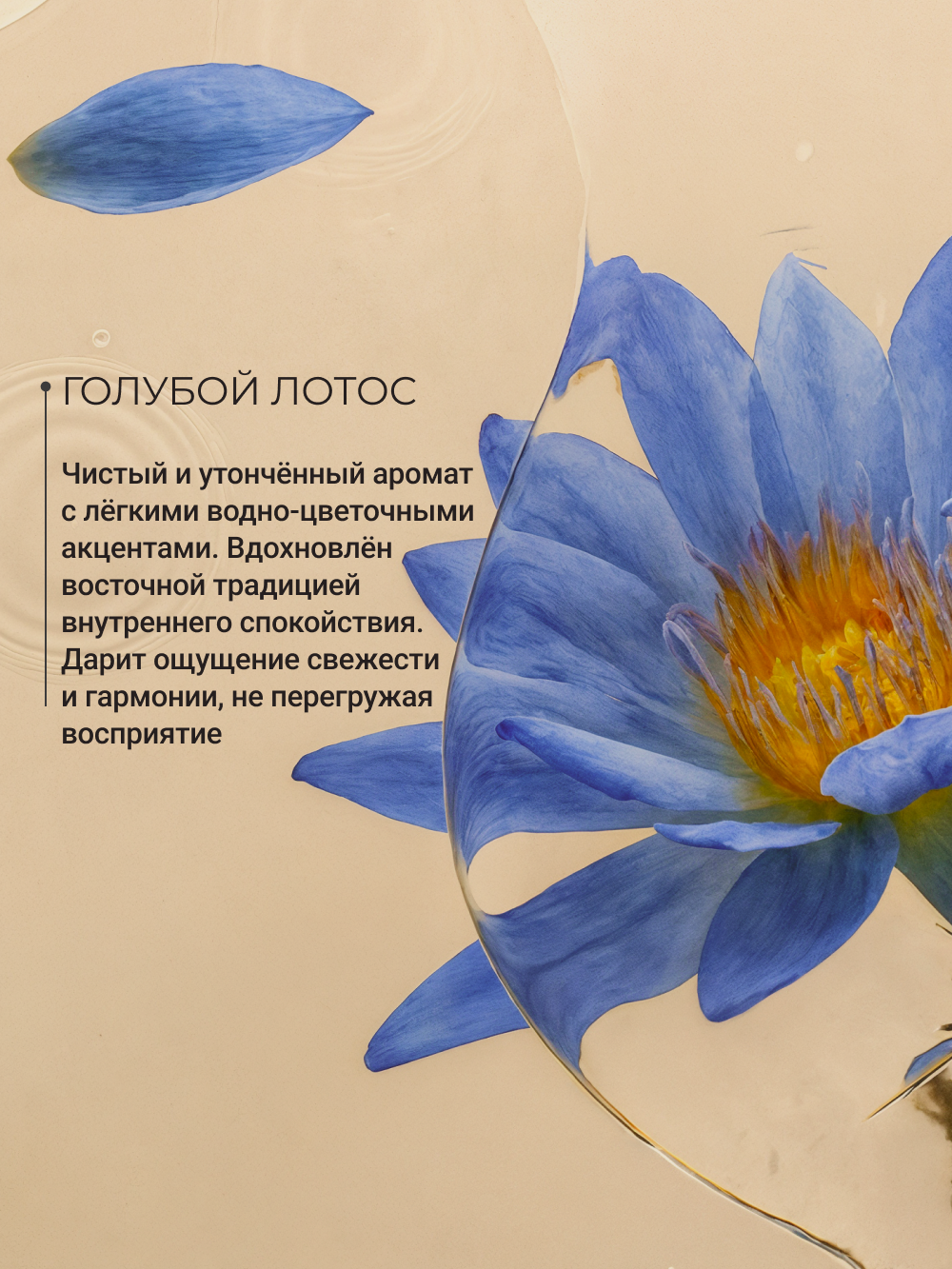 Дезодорант женский Zeitun Голубой лотос спрей 150 мл - фото 3