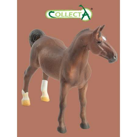 Фигурка Collecta Американский шорный жеребец