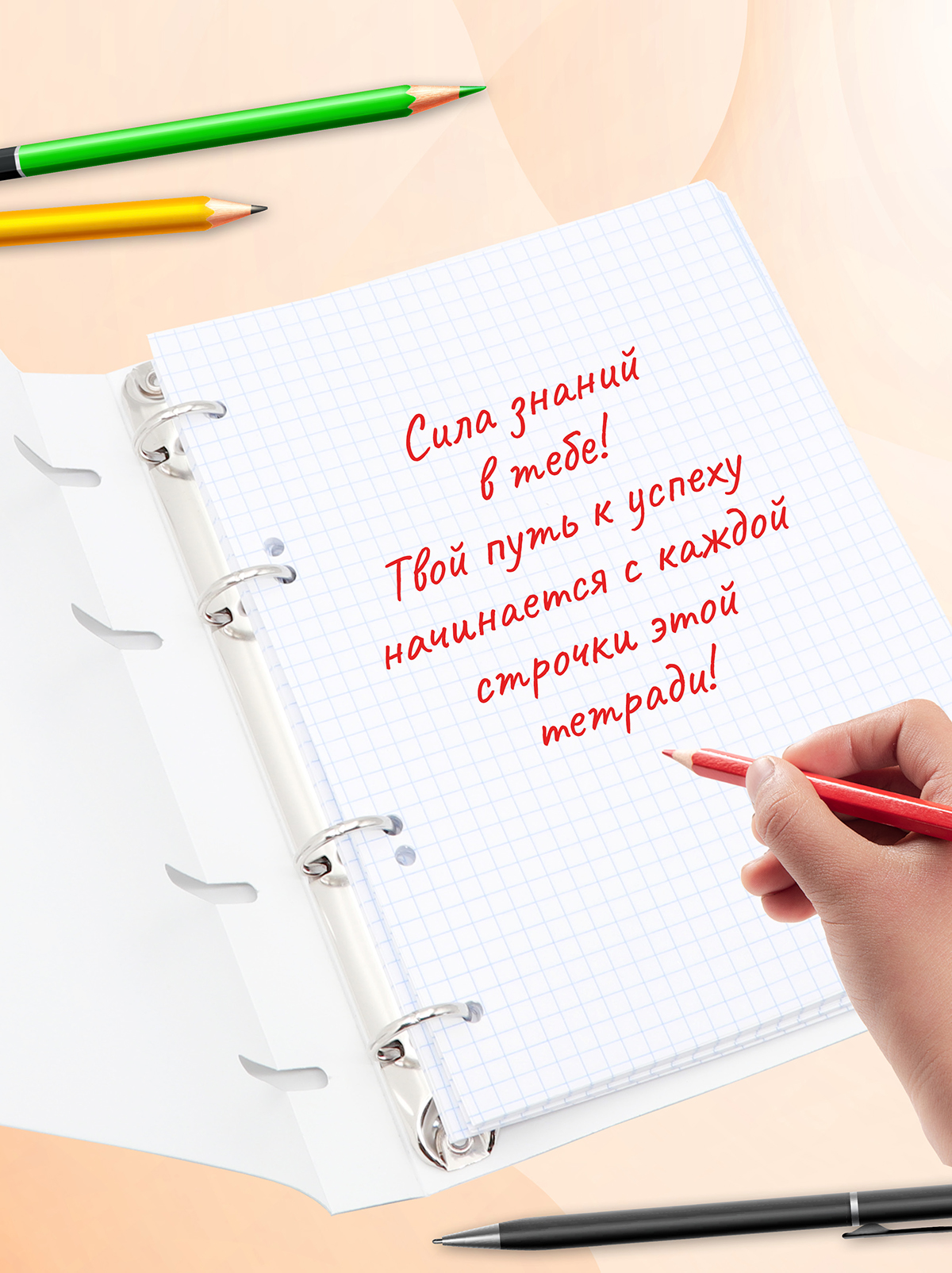 Тетрадь со сменным блоком ПАНДАРОГ клетка 80 лист. - фото 8