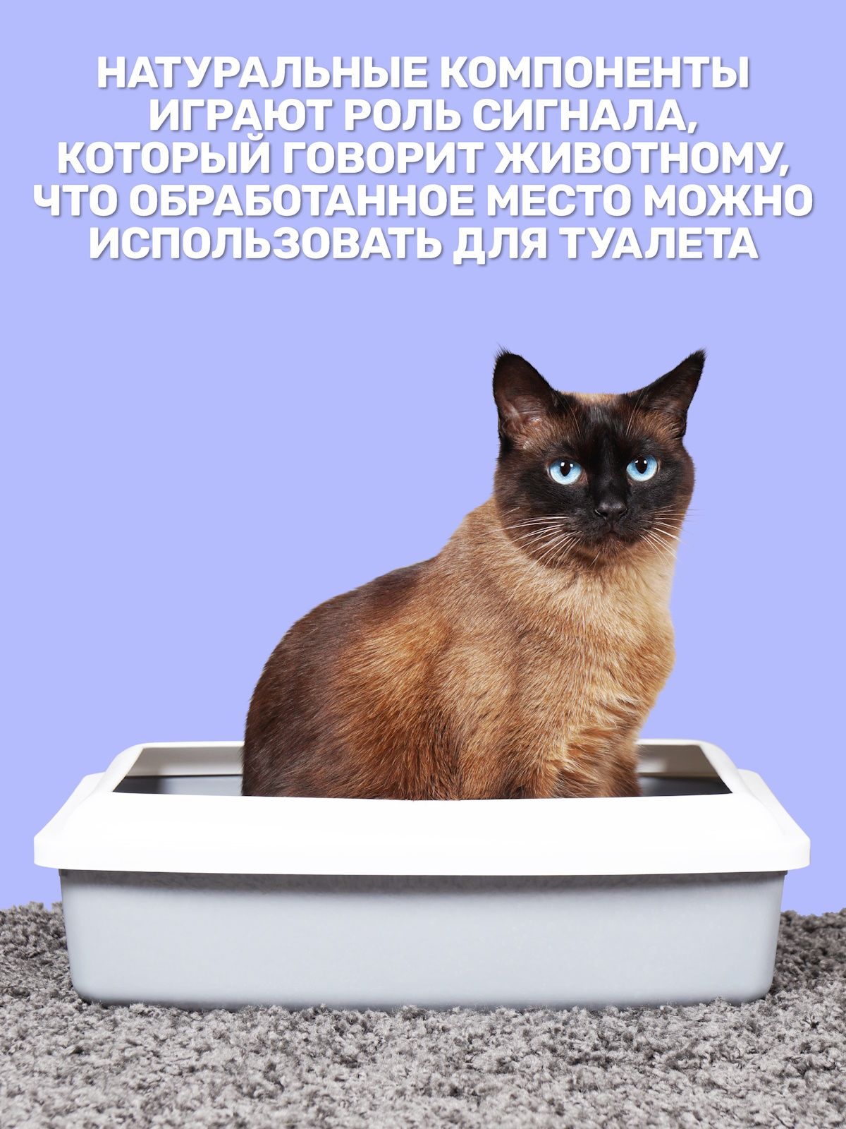 Набор для собак и кошек ZOORIK чистый дом 250+250 мл - фото 4