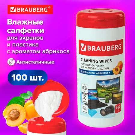 Влажные салфетки Brauberg 100 шт.