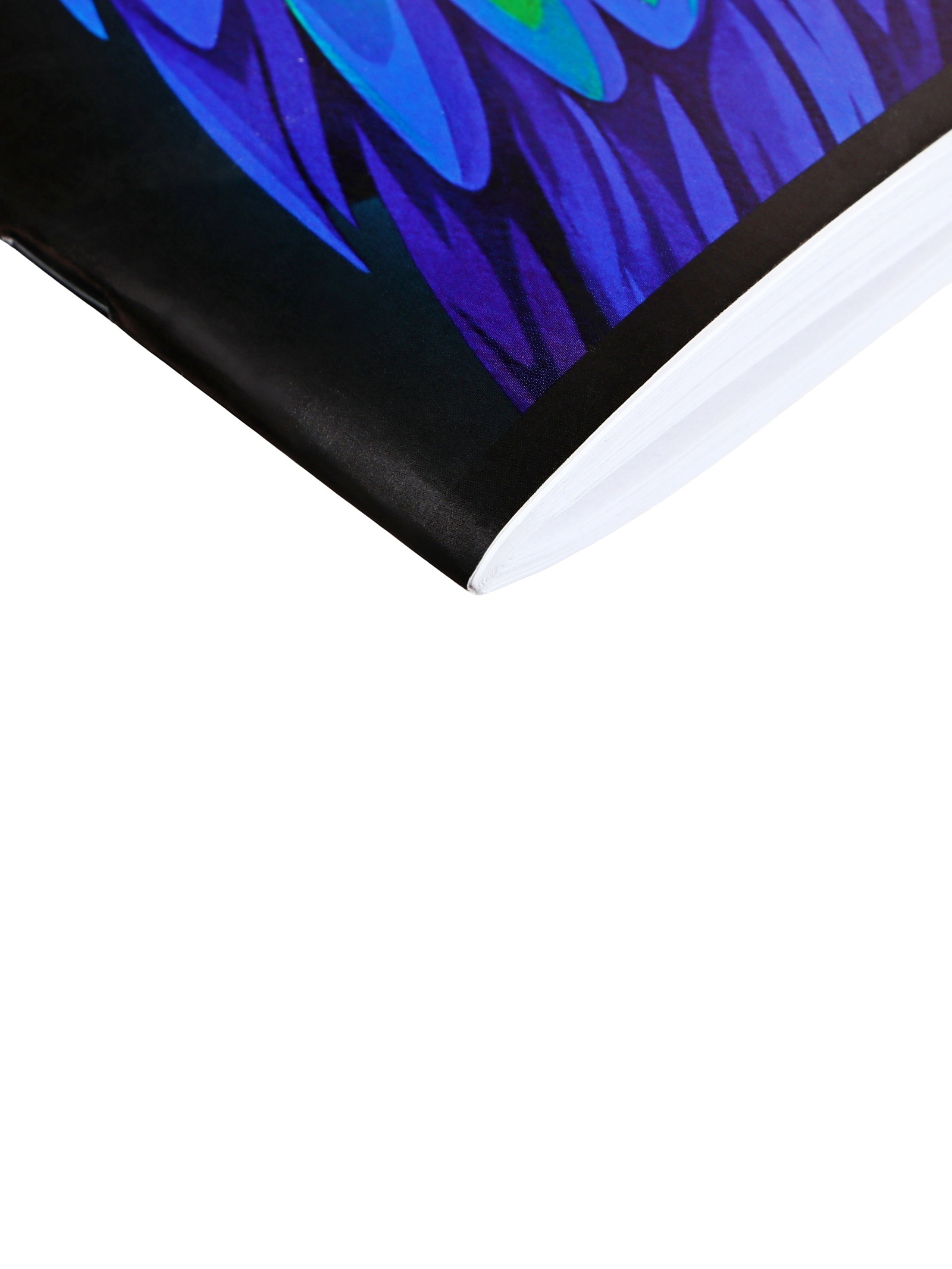 Альбом Calligrata - фото 4