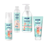 Набор средств EXXE