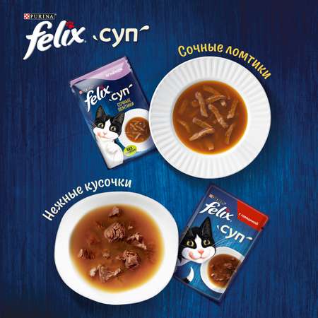 Корм для кошек Felix 48г с ягненком сочные ломтики