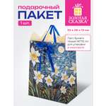 Пакет подарочный Золотая сказка для упаковки подарка на день рождения