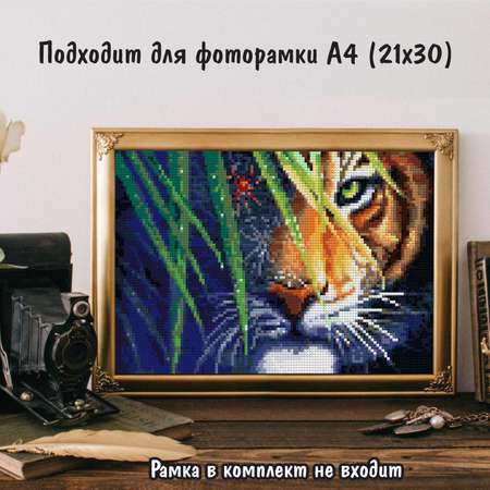 Алмазная мозаика Милато Тигр в засаде