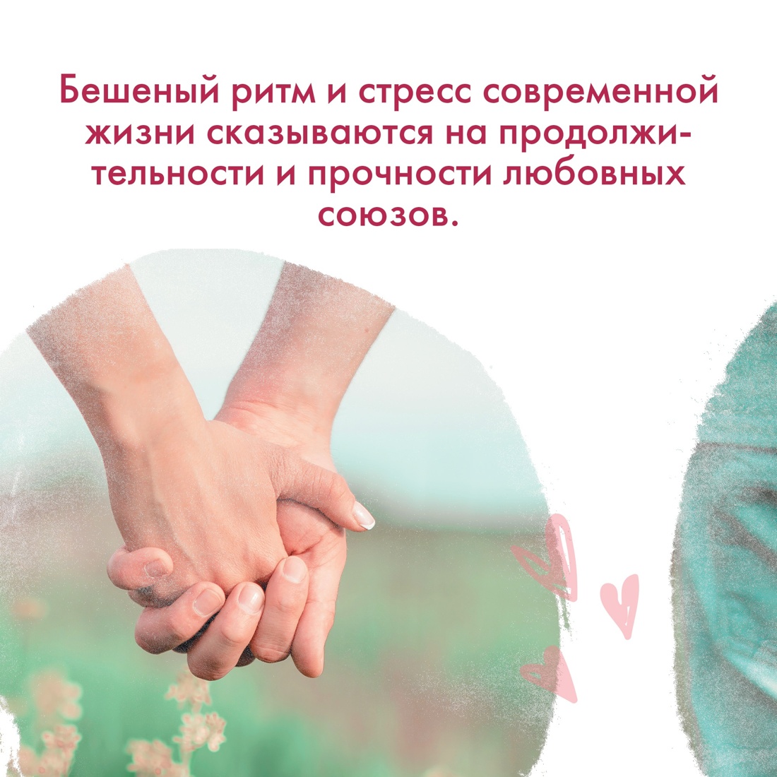 Книга КОЛИБРИ Растения любви: подарок внутри. Сборный комплект в т.у. с наклейками - фото 7