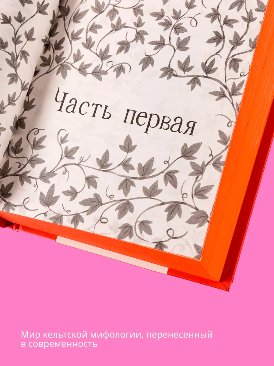 Книга Альпина. Дети Комплект - 13 сокровищ/ 3 книги в твердом переплете - фото 4