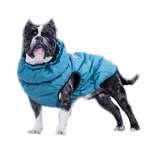 Жилет для собак Rain Dog