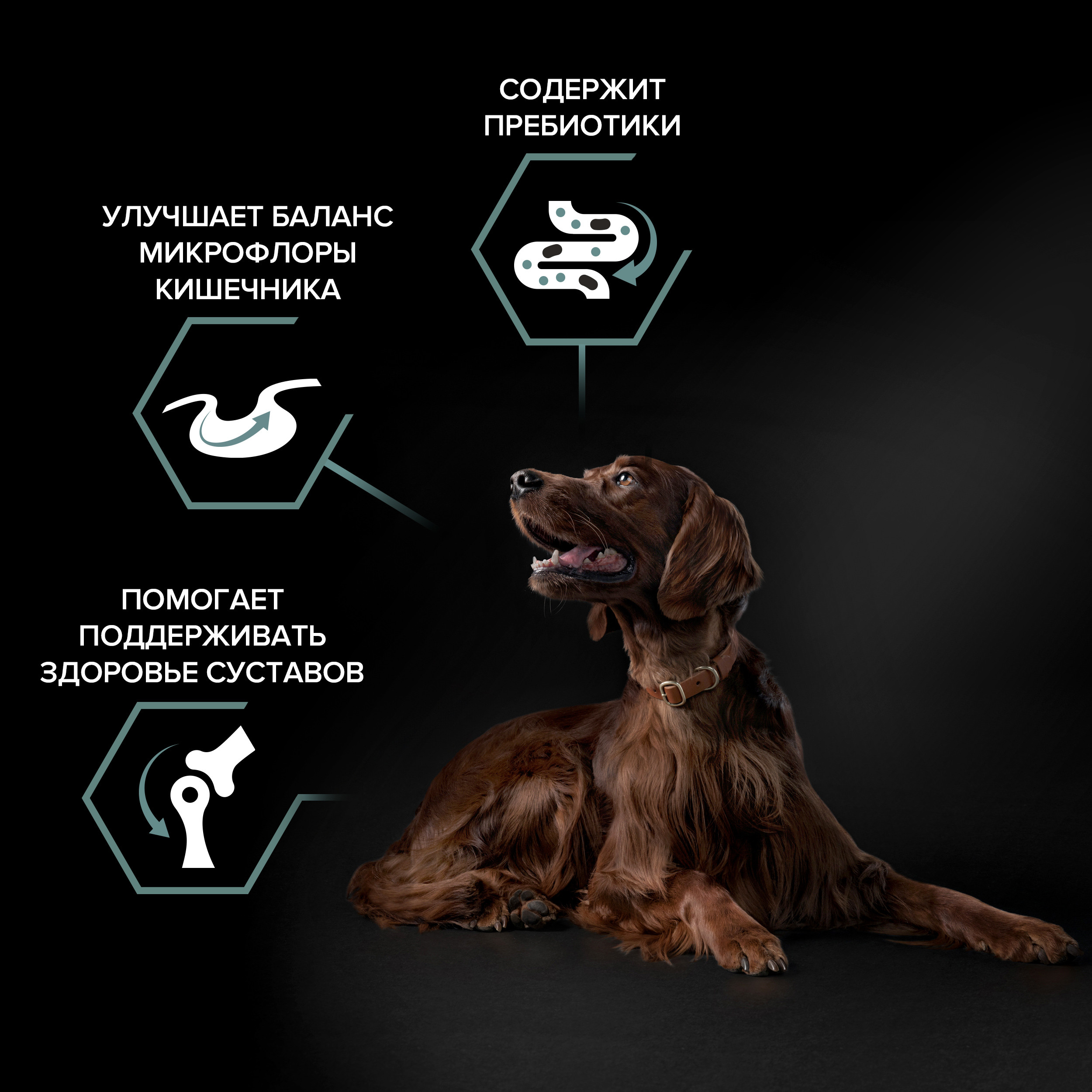 Корм сухой для собак PRO PLAN SENSITIVE DIGESTION 14 кг с ягнёнком для крупных пород - фото 6