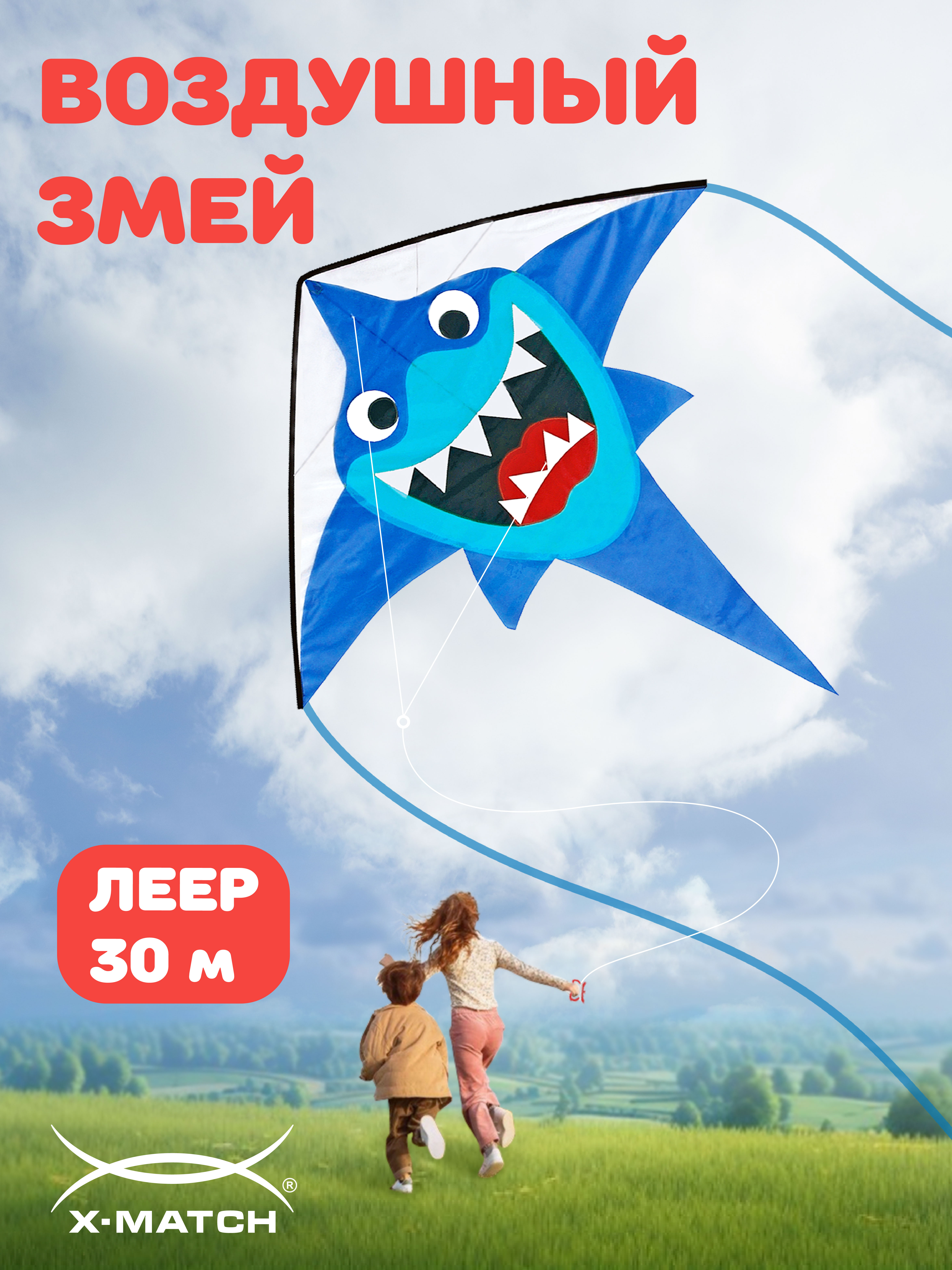 Воздушный змей X-Match - фото 1