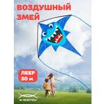 Воздушный змей X-Match