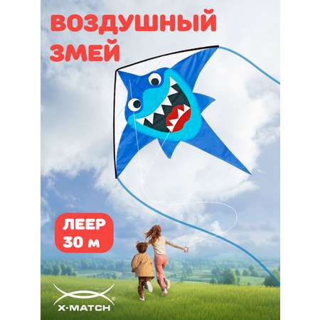 Воздушный змей X-Match