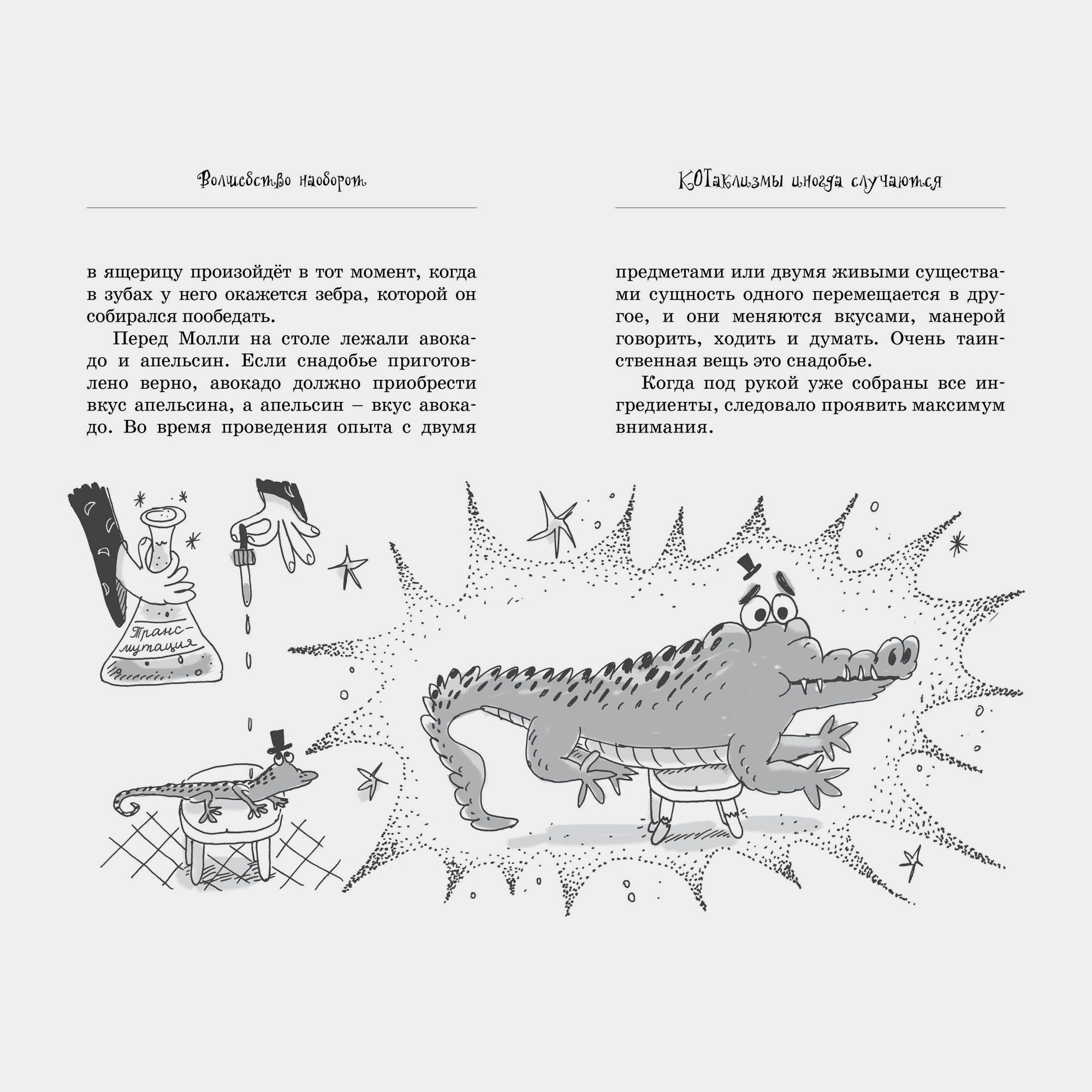 Книга Махаон Поль Бопэр. Кот колдуньи Молли. Волшебство наоборот. - фото 4