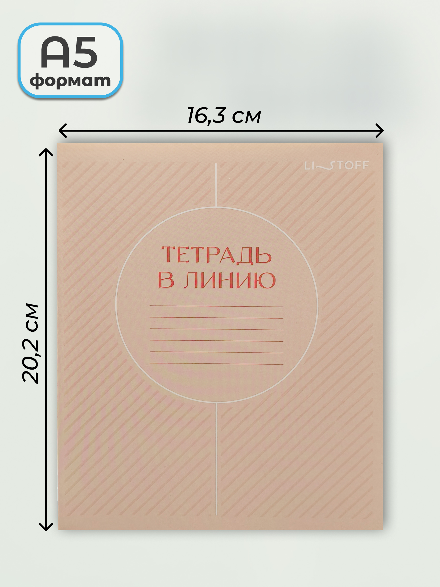Тетрадь Listoff линейка 10 шт. - фото 3