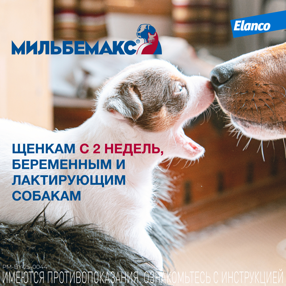 Антигельминтик для собак Elanco Мильбемакс крупных пород 2таблетки - фото 6