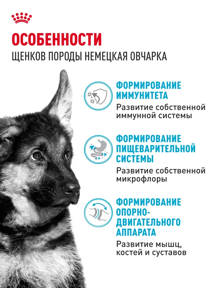 Корм для щенков ROYAL CANIN German Shepherd Puppy породы немецкая овчарка 12кг - фото 2