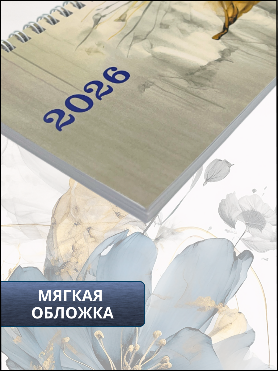 Ежедневник AXLER 64 лист. - фото 3