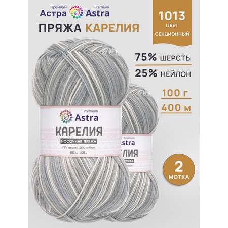 Пряжа для вязания носочная Astra Premium 100г 400м 2шт