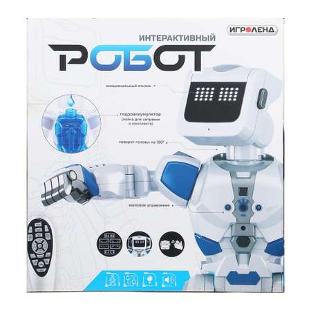 Робот РУ Игроленд