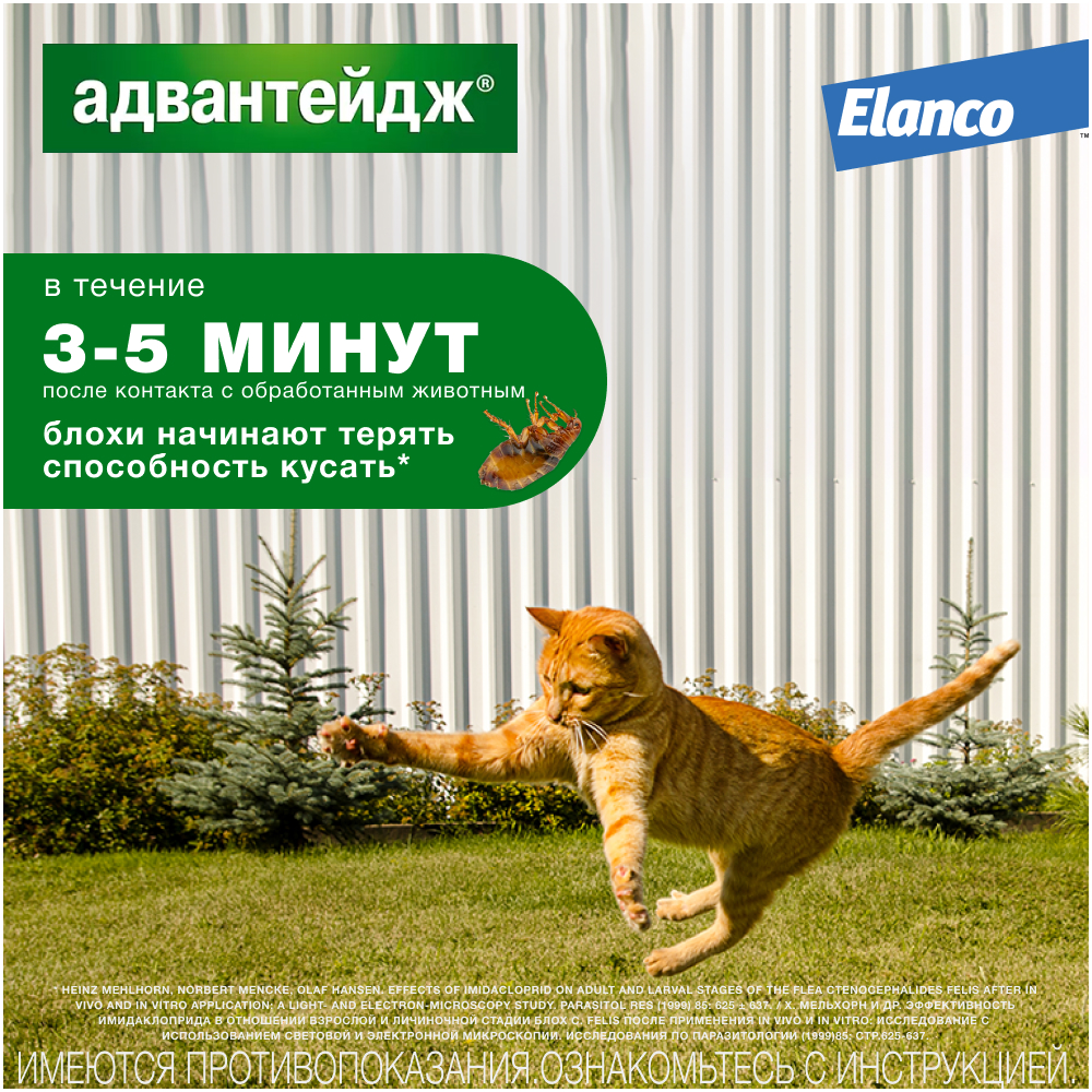 Препарат инсектоакарицидный для кошек Elanco Адвантейдж 0.4мл 4пипетки - фото 4