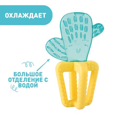 Прорезыватель Chicco Fresh Cactus с 4мес